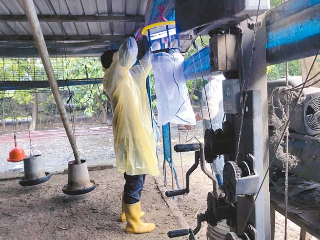 台南市今年已出现4例日本脑炎，市府卫生局吁请猪舍加强防蚊灭蚊措施。（市府卫生局提供／洪荣志台南传真）