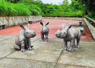 台北動物園唯妙唯肖犀牛雕塑 除了打卡還是保育意義