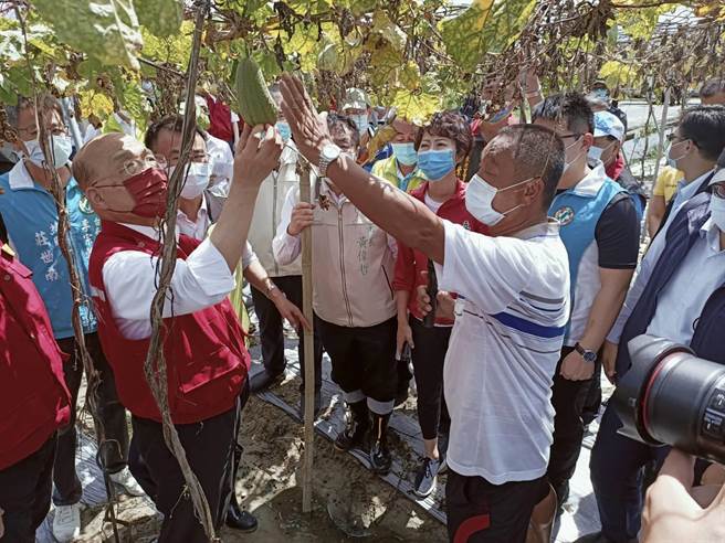 行政院長蘇貞昌（左一）到台南東山區視察絲瓜受損情形。（張毓翎攝）