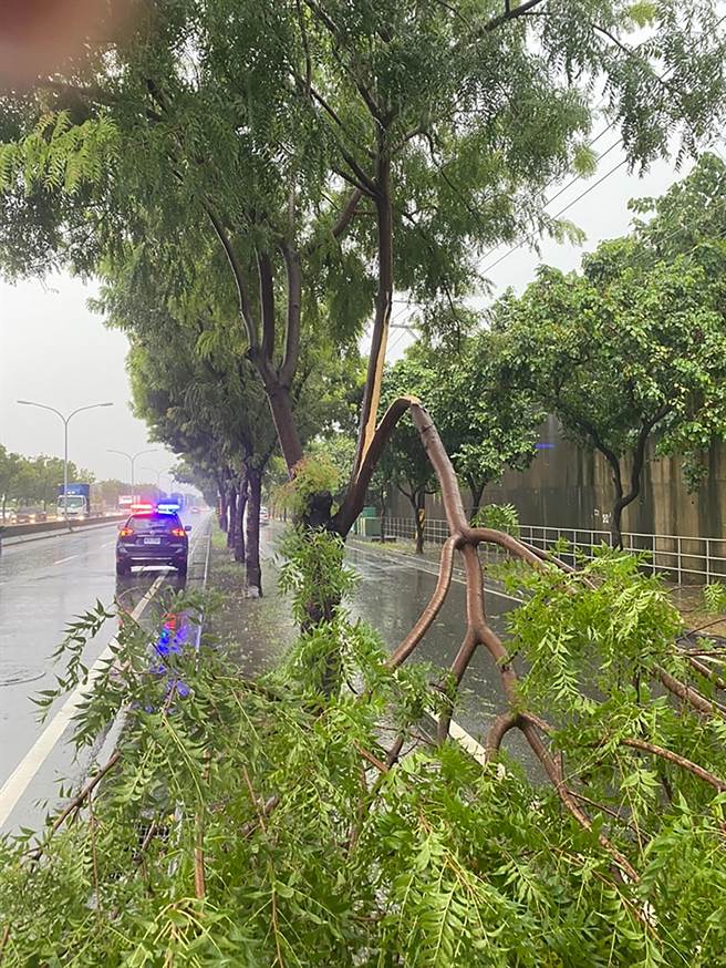 台中市下午3点半左右，突然来了一阵狂风暴雨，大里区环河路一段，被强风吹袭折断，雾峰分局警员于现场疏导交通、合力先排除，并连络1999通知市政府建设局派员前来处理路树。（雾峰分局提供／黄国峰台中传真）