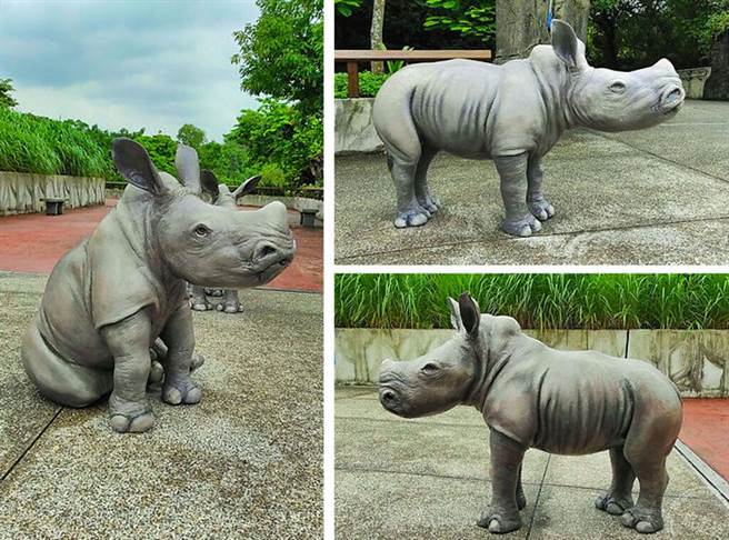 台北动物园唯妙唯肖犀牛雕塑 除了打卡还是保育意义。台北动物园提供