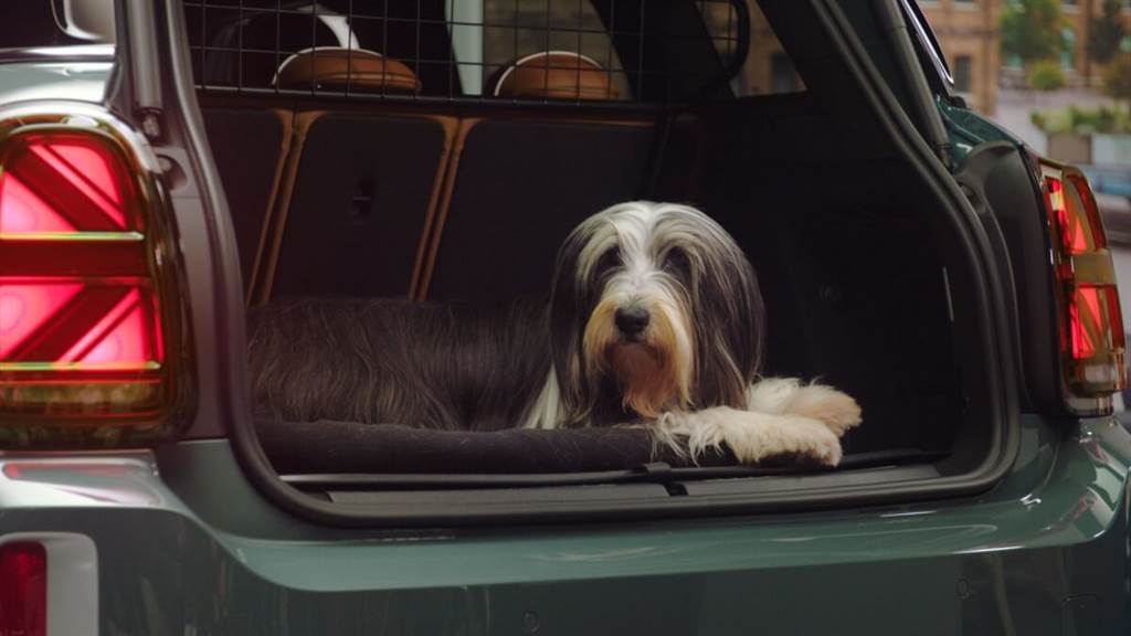 第一個狗狗友善品牌 MINI與英國慈善機構合作（圖/CarStuff）