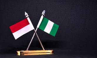奈及利亞指控官員遭印尼粗暴對待 將召回大使