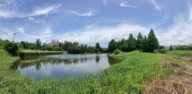 「后庄埤」原是农田灌溉埤塘，位于斗六市芭蕉溪下游，是个牛轭湖状的水塘。（周丽兰摄）