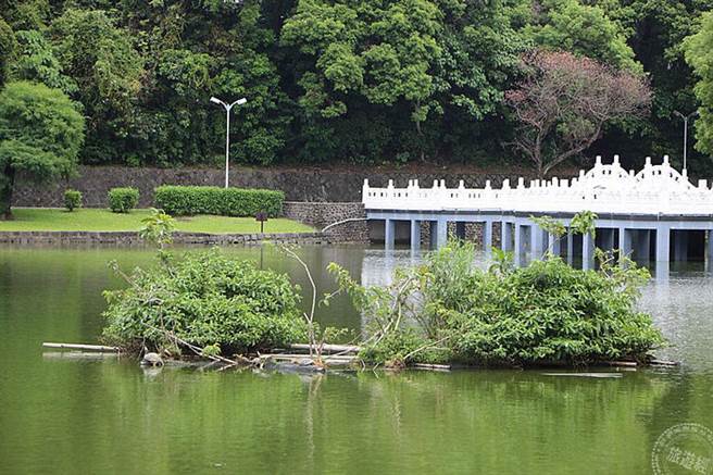 碧湖生態浮島、護岸復育有成 生意盎然。（旅遊經提供）
