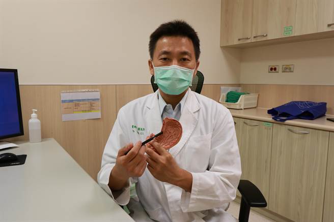 亞大醫院一般外科主任葉俊杰，在人體器官模型上指出患者手術位置。（林欣儀攝）