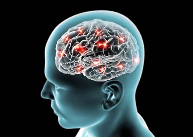 預防失智與老年痴呆 補充DHA有用嗎？臨床研究這麼說。(示意圖/Shutterstock)