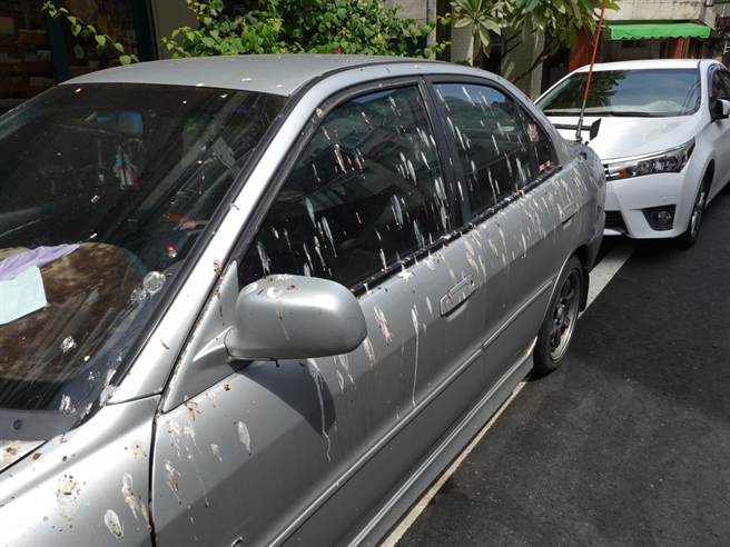 燕子聚集在市区新港街上，路过车辆及行人稍不注意就被砸中，路旁车辆满是排泄物，让居民伤透脑筋。（花莲市公所提供／王志伟花莲传真）