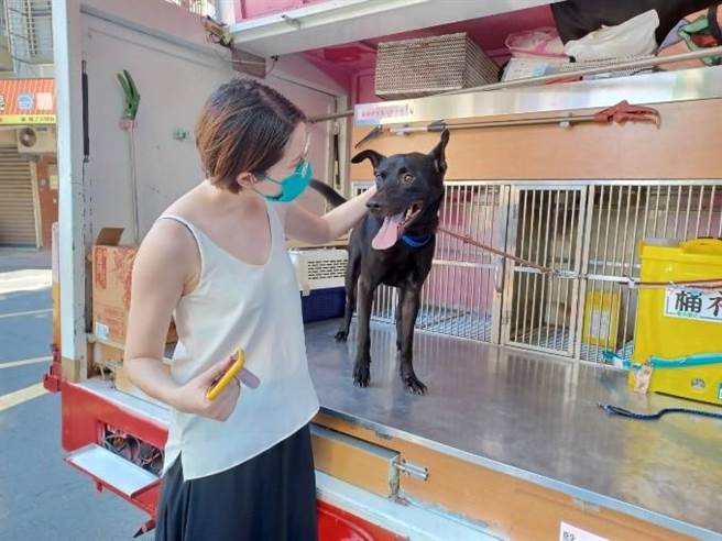 新北市中和动物之家为了替毛小孩们找到温暖的家，改以网路、视讯等方式，增加民眾饲养意愿。（动保处提供）