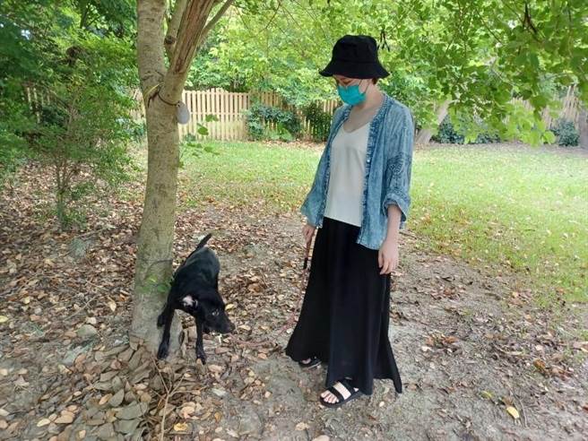 新北市中和动物之家为了替毛小孩们找到温暖的家，改以网路、视讯等方式，增加民眾饲养意愿。（动保处提供）