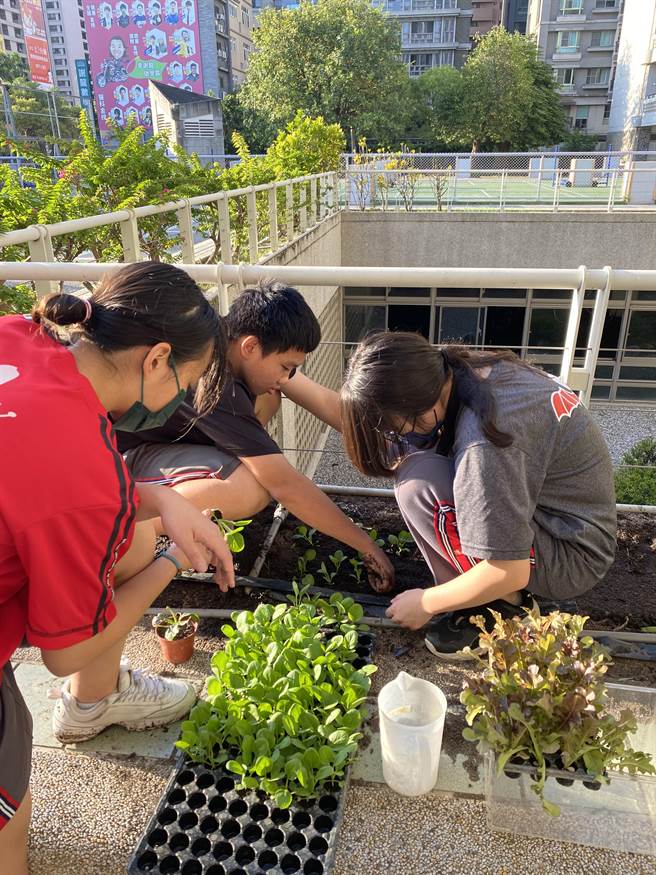 透过证明「单寧酸」能抑制农业害虫，明华国中夺得生活与应用科学（二）环保与民生科第1名。（校方提供）