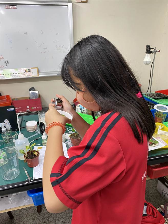 透过证明「单寧酸」能抑制农业害虫，明华国中夺得生活与应用科学（二）环保与民生科第1名。（校方提供）