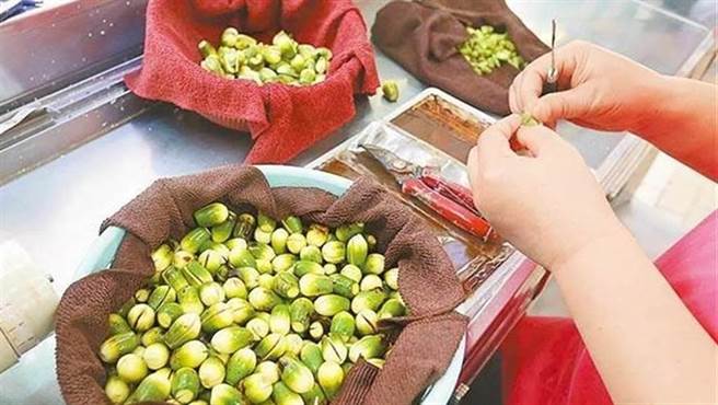 槟榔在土耳其被视为毒品。（图／示意图，报系资料照）