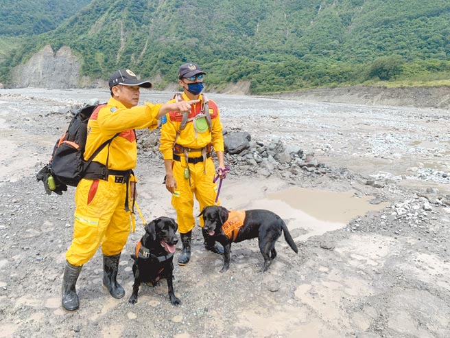 桃源区民代谢宜真11日不慎失足跌落水，高雄市消防局第六大队12日出动搜救人员与搜救犬搜查荖浓溪流域。（消防局提供／林瑞益高雄传真）