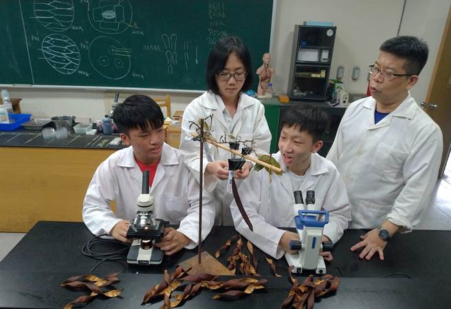 義學國中全國第一的生物作品，由冷昆叡(左一)與王維辰同學(右二)在陳又君老師(左二)與洪寛亮老師(右一)指導下合力完成。(新北市教育局提供)