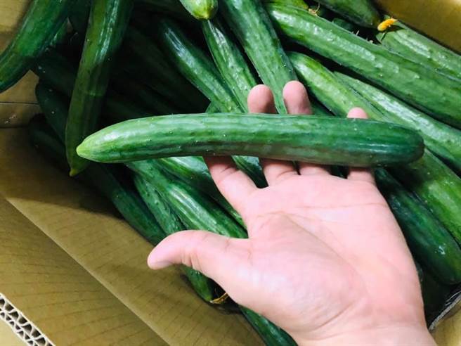 1名网友在今日（14）情人节发现小黄瓜1斤涨到135元，PO文后其他网友笑说「这节日姐夫会供不应求」、「姐夫越来越贵了」。（翻摄自脸书社团「爆废公社公开版」）