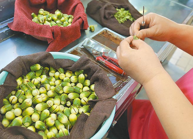 槟榔在土耳其被认定为毒品列管，我外交部今年至少已接获土国3起通报，有数名国人带槟榔入境遭逮，目前在当地静待司法侦审程序中。（本报资料照片）