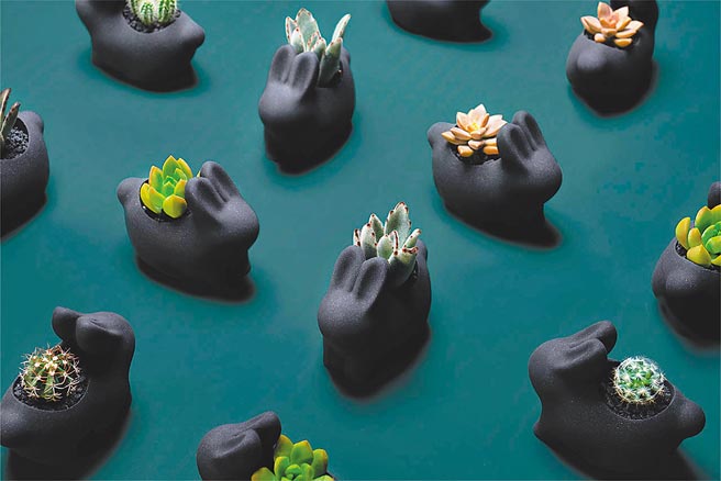 有肉本次盆器以月兔为主角，以黑色水泥搭配金色细沙呈现神秘感。（有肉提供）
