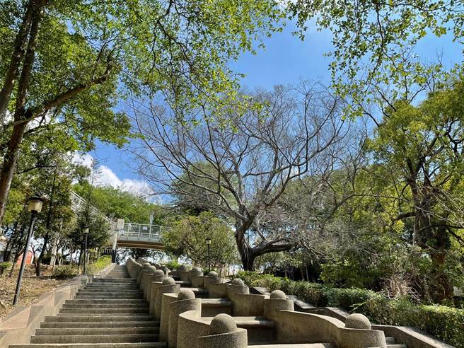 彰化大佛森呼吸，7068萬元經費打掉人工水泥綠美化。（彰化縣政府提供／吳敏菁彰化傳真）