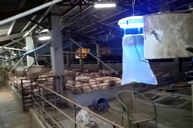 屏县再传日本脑炎确诊个案，卫生局于个案居住地及工作地周边悬挂捕蚊设备。（屏县卫生局提供／林和生屏东传真）