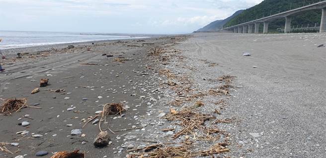 台東縣政府公告，17日起開放撿漂流木。（台東縣政府提供）