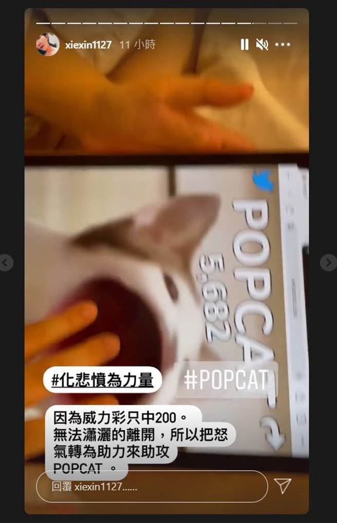 谢忻IG限时动态全文。（图／取材自谢忻Instagram）