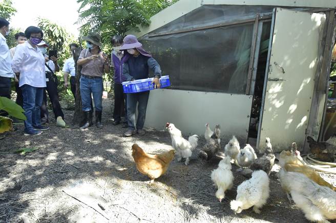 王惠美表示，陈世雄教授从中兴大学退休后到明道大学，推广有机农业不遗余力，陈教授的农场虽然只有小小的三分地，但却创造出好几百万的价值。(吴建辉摄)