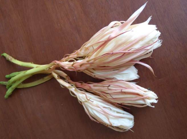 女网友在社区捡了5朵花，保全和邻居都推荐她煮来吃。（图／翻摄自脸书社团家常菜）