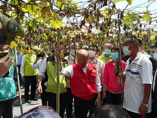 受到8月上旬西南氣流豪雨影響，台南農損慘重，日前行政院長蘇貞昌（中）前來勘災。（張毓翎攝）