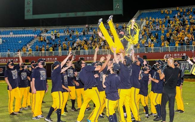 中信兄弟上半季登基封王，在桃园球场抛下黄色彩带，球员将总教练林威助抛上天。（资料照，陈麒全摄）