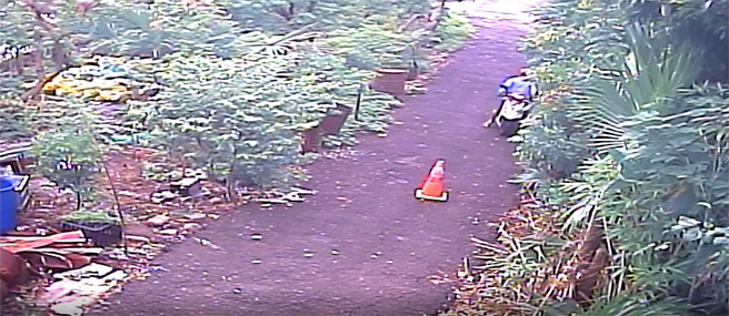 員警調閱監視器，發現犯嫌不只1人，隨即於周邊進行訪查，僅花費1小時即確定2名犯嫌身分。（警方提供）