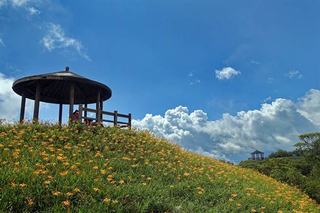 針對日前太麻里花況不佳，遊客賞不到花，太麻里鄉公所指出日前因防疫考量未辦花農留花補助，現已重啟，民眾可遵守防疫及交通管制上山賞花。（民眾提供／蔡旻妤台東傳真）