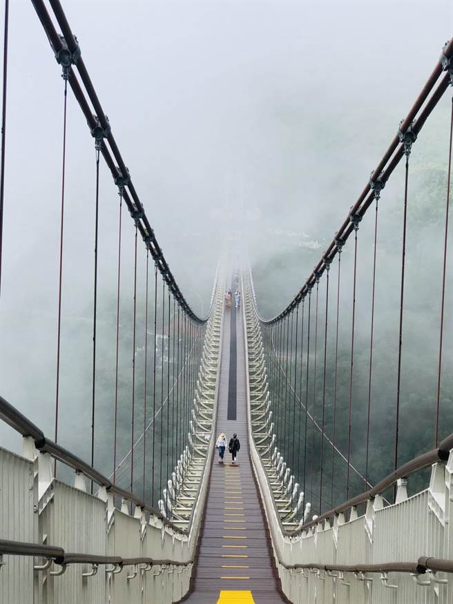考量近期颱风、豪雨不断，加上地震频繁，交通部观光局阿里山国家风景区管理处自今18日起至9月1日封闭太平云梯，休园期间进行全面安全检测。（阿里山国家风景区管理处提供∕吕妍庭嘉义传真）