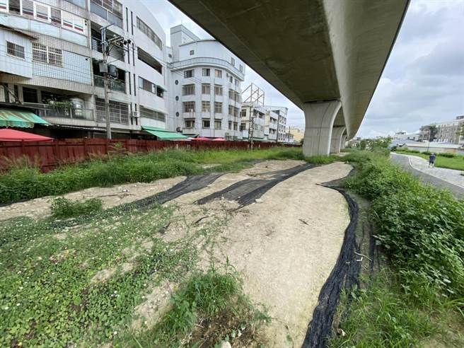 市议员谢志忠（中）等人18日质询说，全线绿美化造景参差不齐应立即检讨，建设、都发等局处应完整勘查路段，做全方位的改善。（陈世宗舍）