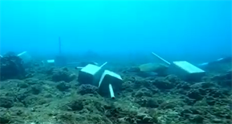 潛水業者丟棄船錨砸斷小琉球珊瑚 海保署：將移送法辦