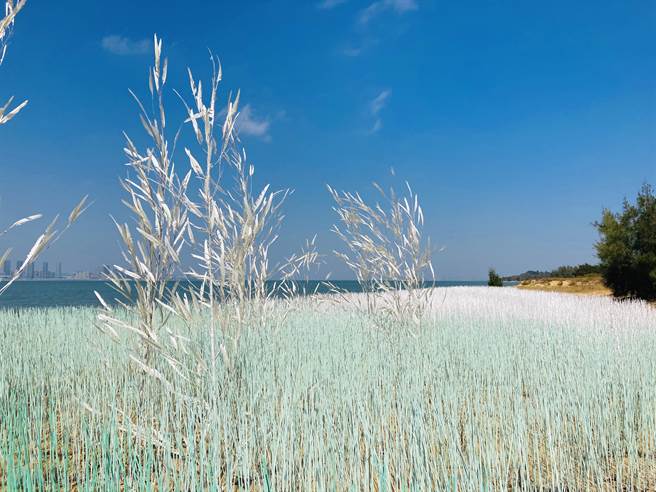 白色祕境海洋藝術季，帶給遊客浪漫的觀光體驗。（縣府提供）