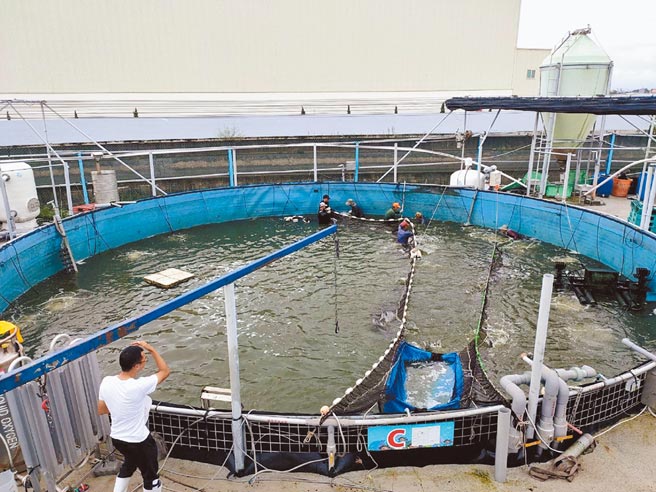 台灣鯛科技漁民3人管理22池 地方新聞 中國時報