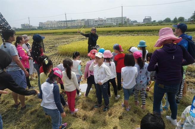 下营弘昌碾米厂参与推动食农体验活动。（郑庆凰提供／刘秀芬台南传真）