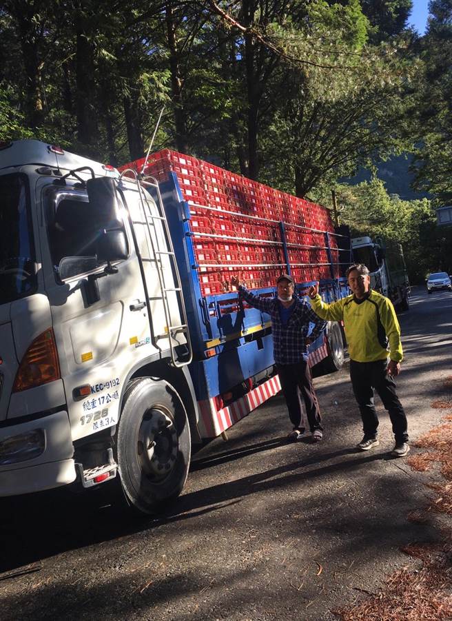 公路总局开放梅山口至向阳路段紧急通行，桃源区居民将金煌芒果经此路段运送下山贩售。(高雄市农业局提供／林雅惠传真)