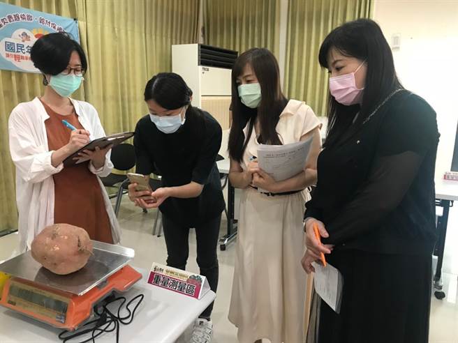 新北市金山区公所于今年续办「第6届金山甘藷王竞赛」，报名收件时间8月30日上午9时至下午3时止。（金山区公所提供）