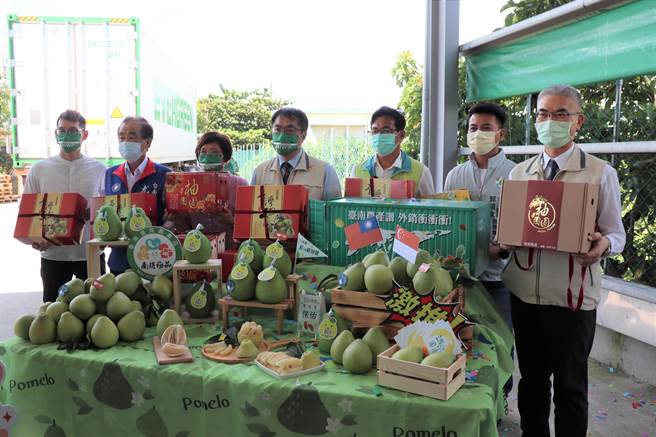 台南麻豆清泉果园20日10.2公吨文旦将封柜销往新加坡最大连锁超市。（刘秀芬摄）