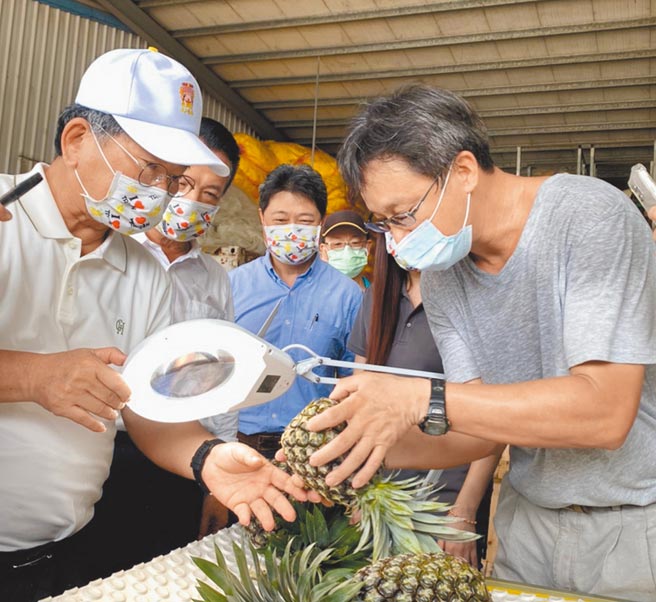嘉县民雄乡打猫果菜生产合作社理事主席陈映延（右）向立委陈明文（左一）、嘉义县长翁章梁（左二）等人解说如何用灯光照射再用放大镜抓介壳虫。（张亦惠摄）