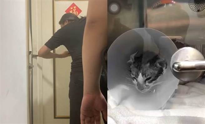 救援志工用鐵撬破壞門鎖進入屋內救出「茶茶」。（圖／救援志工「貓男」許鐳譯翻攝）


