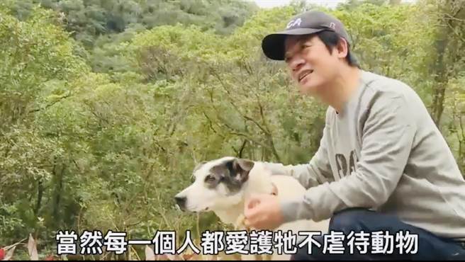 今国际流浪动物日  赖清德：流浪不是自由是残酷生存竞争。翻摄赖清德脸书