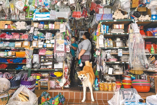 行政院将发放五倍券给民眾，加码数位券优惠，并考虑针对小商家发行小面额券，增加使用便利性，让独立商家也能受惠。20日一位民眾带着宠物，到五金行购买物品。（邓博仁摄）