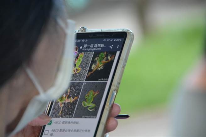 路殺社21、22兩日在台東縣池上鄉富興社區辦理第9屆路殺社公民科學家年會。（蔡旻妤攝）