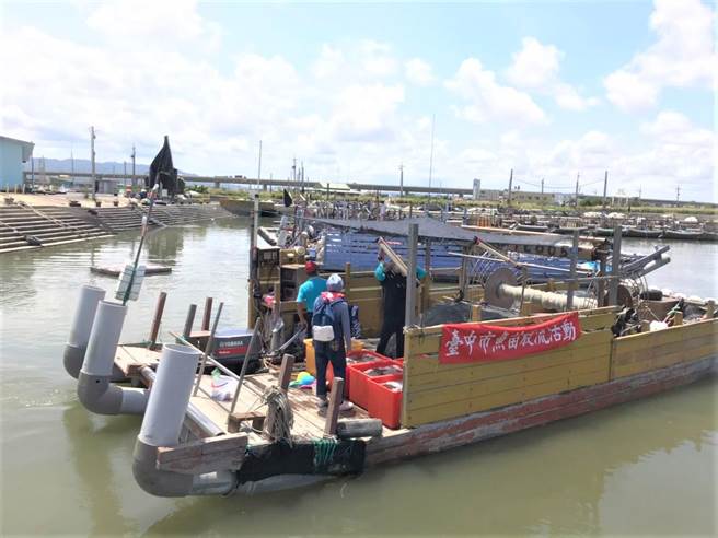 台中市政府今年三度放流「午仔鱼苗」，总数高达百万尾。（台中市农业局提供／王文吉台中传真）