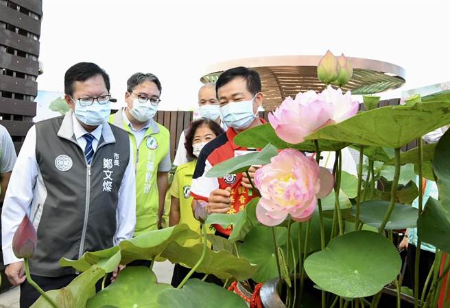 桃园观音莲花季举办名荷大展。（吕筱蝉摄）