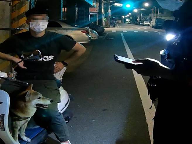 柴犬「绿茶」跳到别人车上，所幸员警带牠到动物医院扫描晶片，顺利找到其家人。（警方提供）