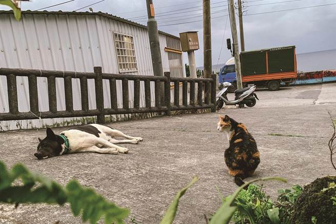 《一起来玩吧！》展出作品。（作者提供）